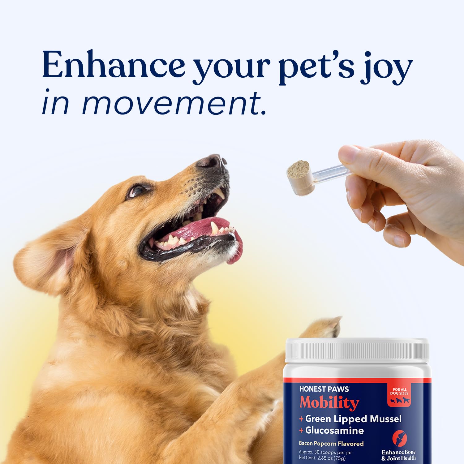 Honest Paws Glucosamine MSM illustration highlights additional joint-friendly ingredients.