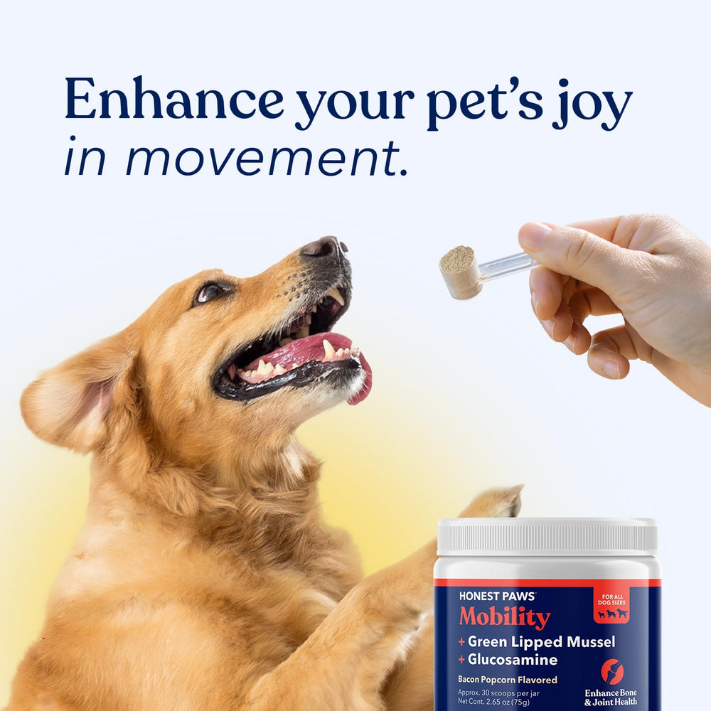 Honest Paws Glucosamine MSM illustration highlights additional joint-friendly ingredients.