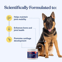 Honest Paws Glucosamine powder dispense shows easy daily mixing for flexible movement.