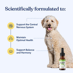 Honest Paws hemp oil drops pour demonstrating easy dosing for relaxed mood