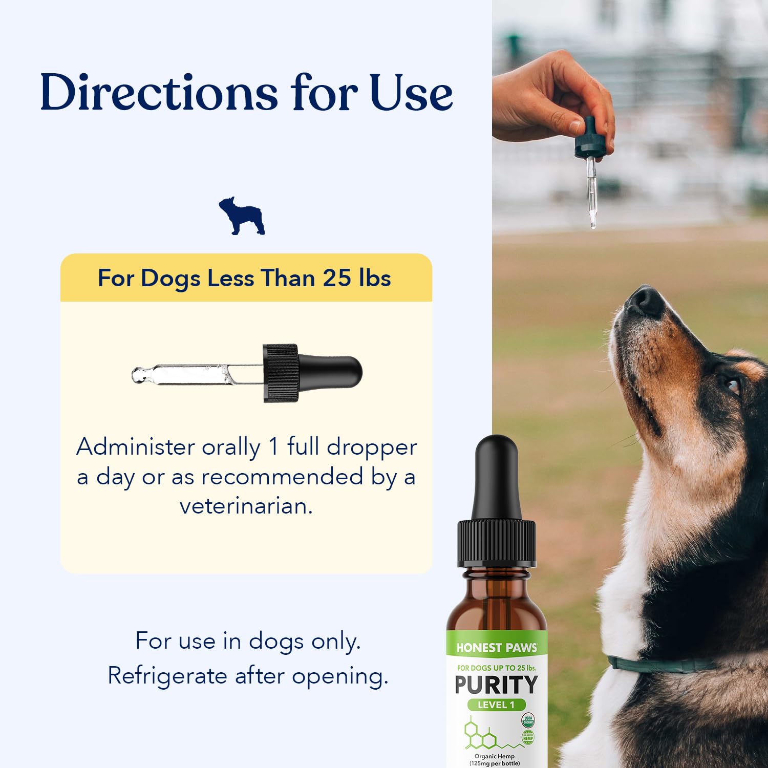 Honest Paws hemp oil supports joint comfort for aging dogs