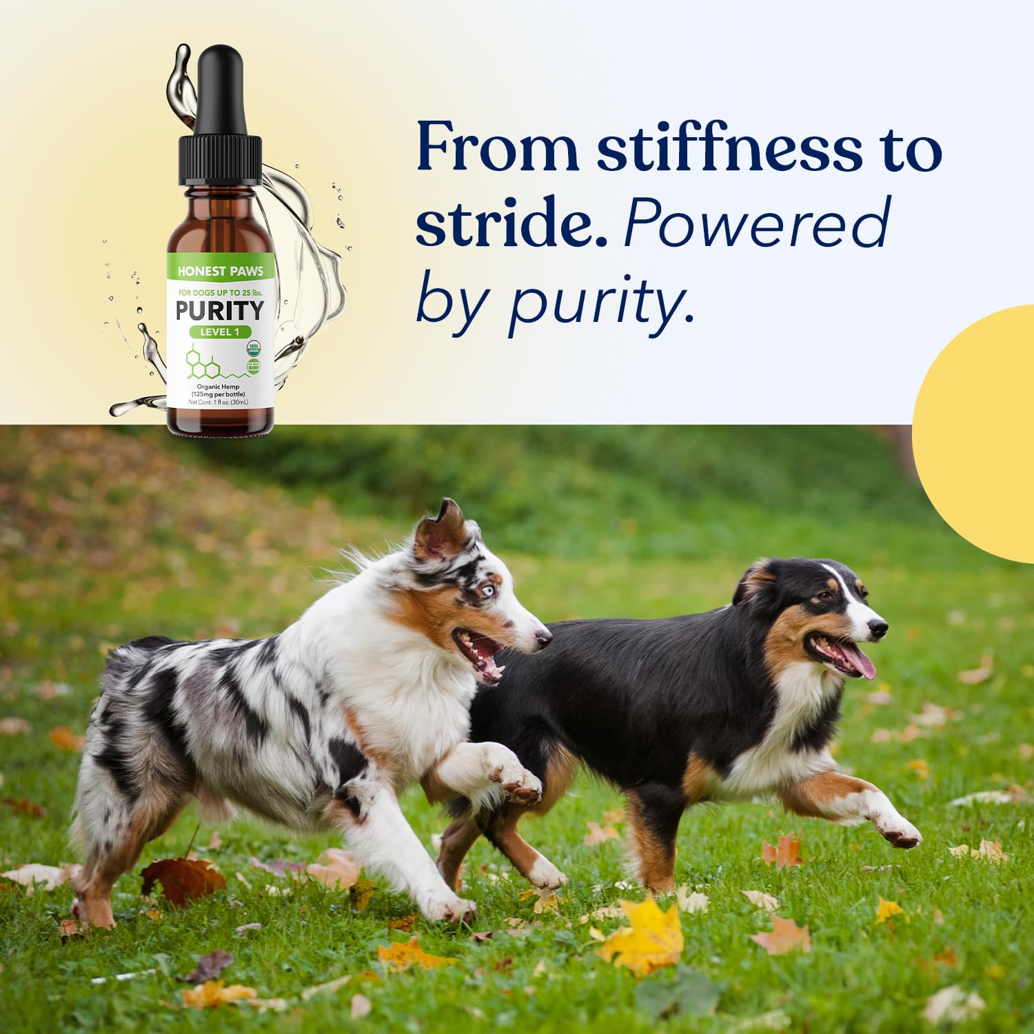 Honest Paws hemp oil naturally supporting the immune system
