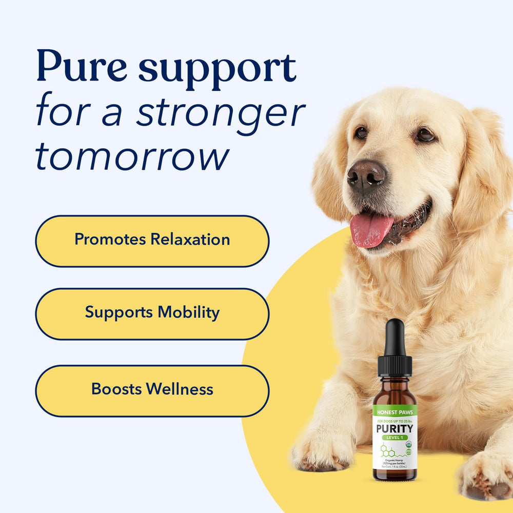 Honest Paws hemp oil packaging showing USA-made quality