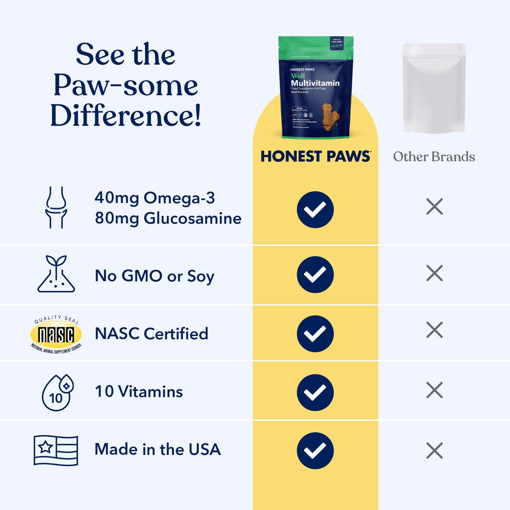 Honest Paws joint-support soft chews with glucosamine and chondroitin for mobility