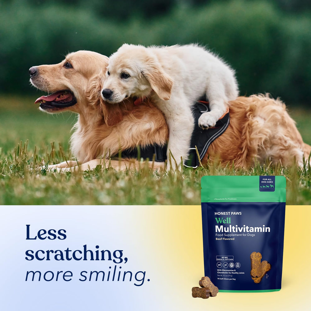 Honest Paws omega-3 soft chews support heart and coat