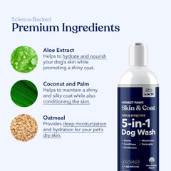 Plant-based Honest Paws formula emphasizes eco-friendly, sulfate-free care for dogs.