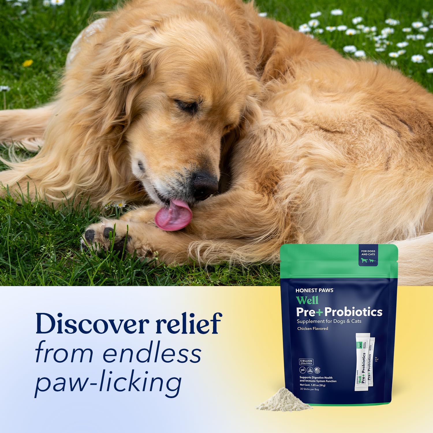 Honest Paws Probiotics daily dosing packets simplify routine