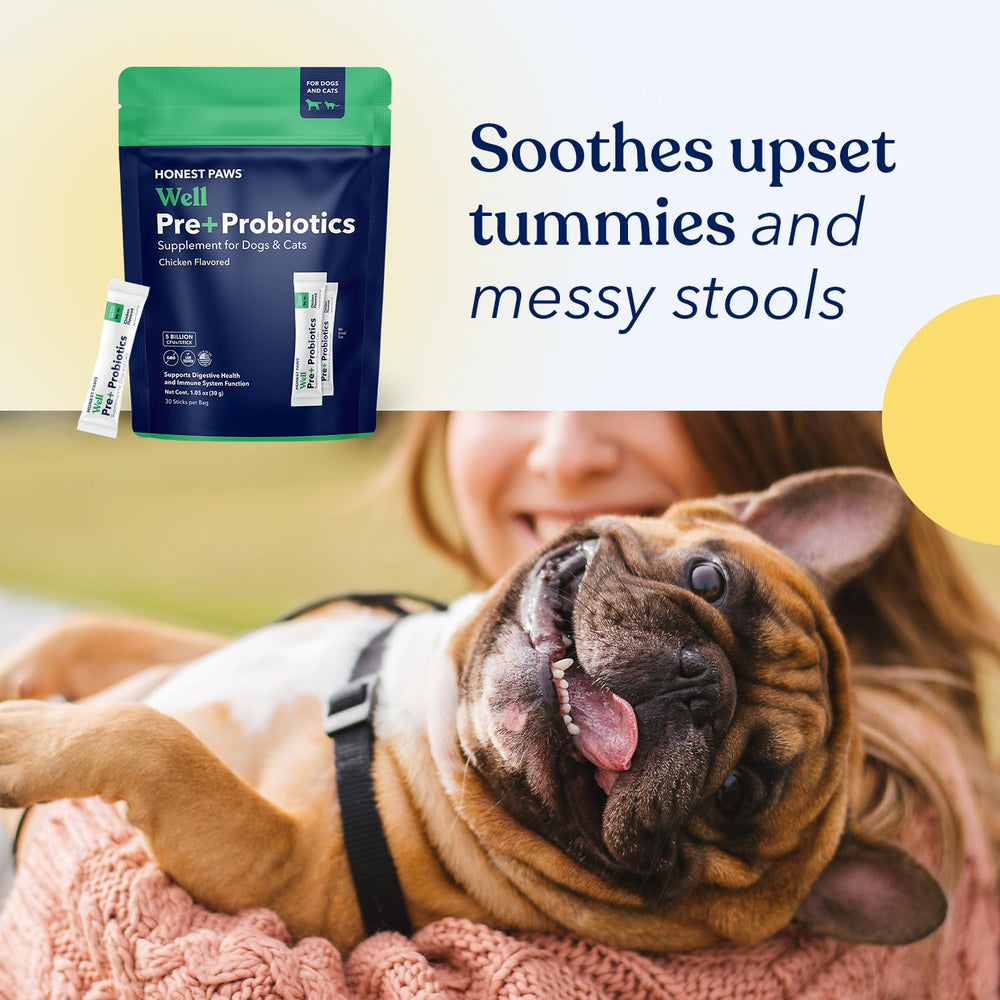 Honest Paws Probiotics aids digestive comfort and normal stool