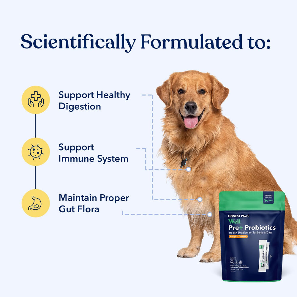 Honest Paws dog probiotic powder pumpkin stick designed to support normal digestion.