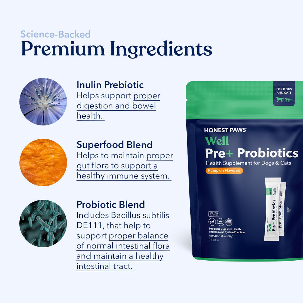 Honest Paws dog digestive powder stick promoting gut balance and routine care.