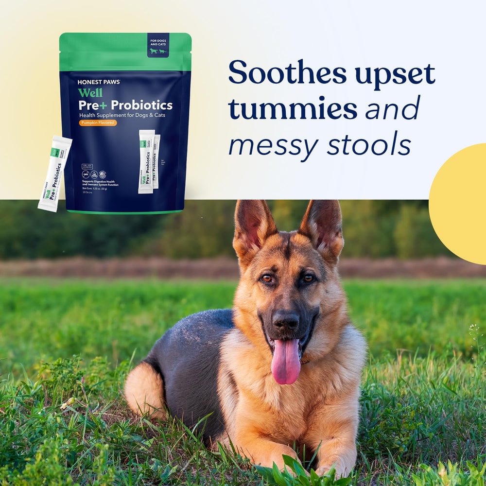 Honest Paws 30-stick supply keeps your dog's digestion on track.