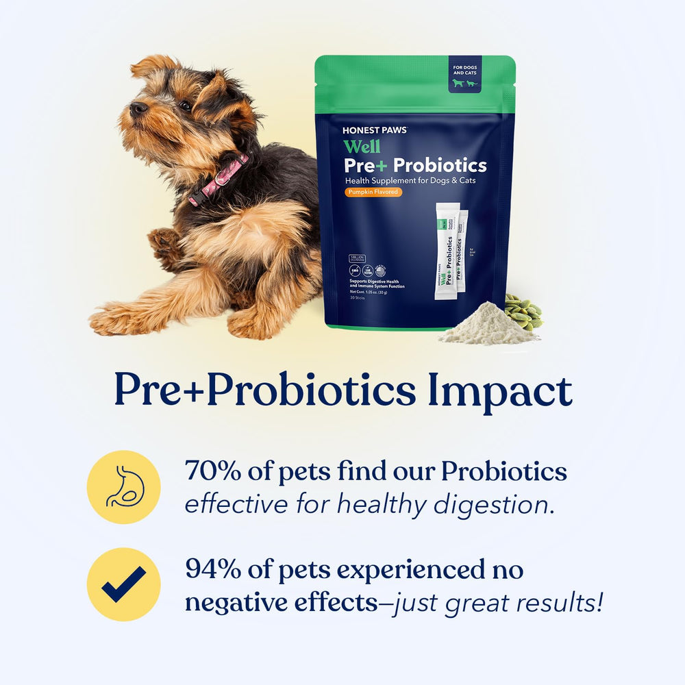 Honest Paws dog gut health supplement with enzyme blend and probiotic.