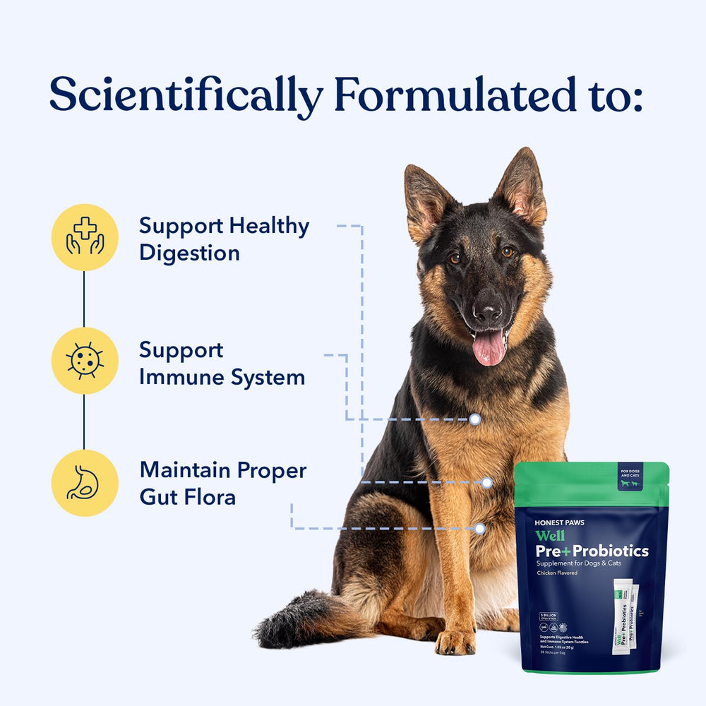 Honest Paws Probiotics single-serve packets for mess-free dosing