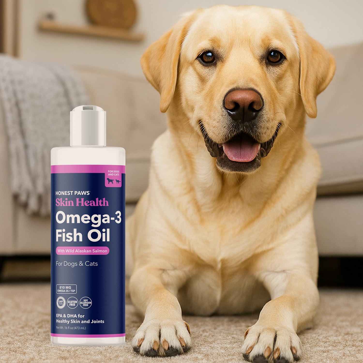 Daily dosing with Honest Paws Salmon Oil for overall wellness.