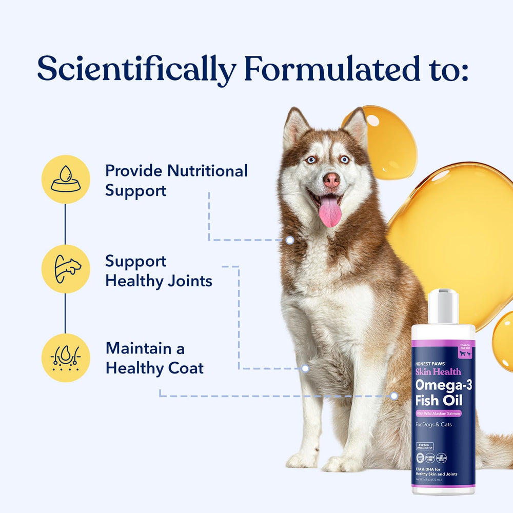 Honest Paws Salmon Oil helps joint comfort during daily play.