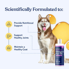 Honest Paws Salmon Oil helps joint comfort during daily play.