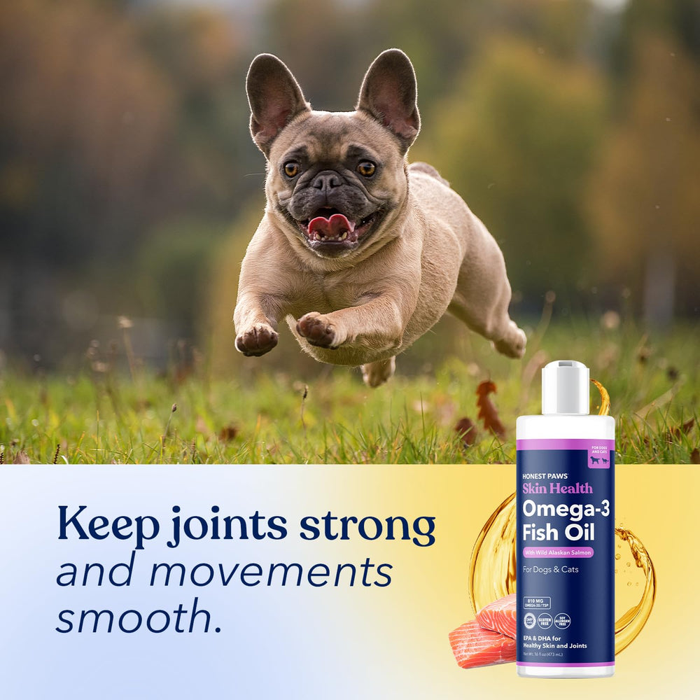 Sustainably sourced Honest Paws Salmon Oil from Alaska.