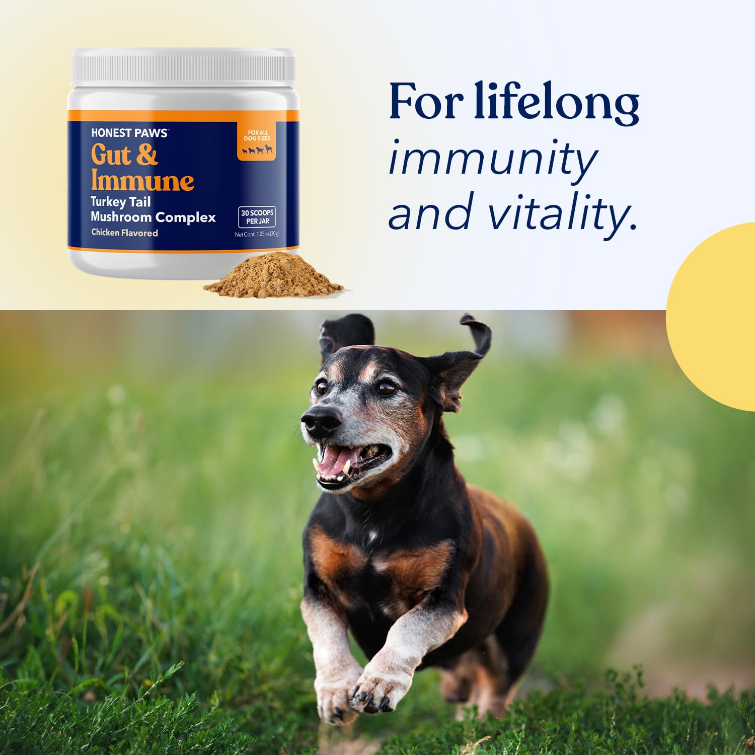 Honest Paws Turkey Tail Mushroom digestive-balance image conveys gut-friendly nourishment.