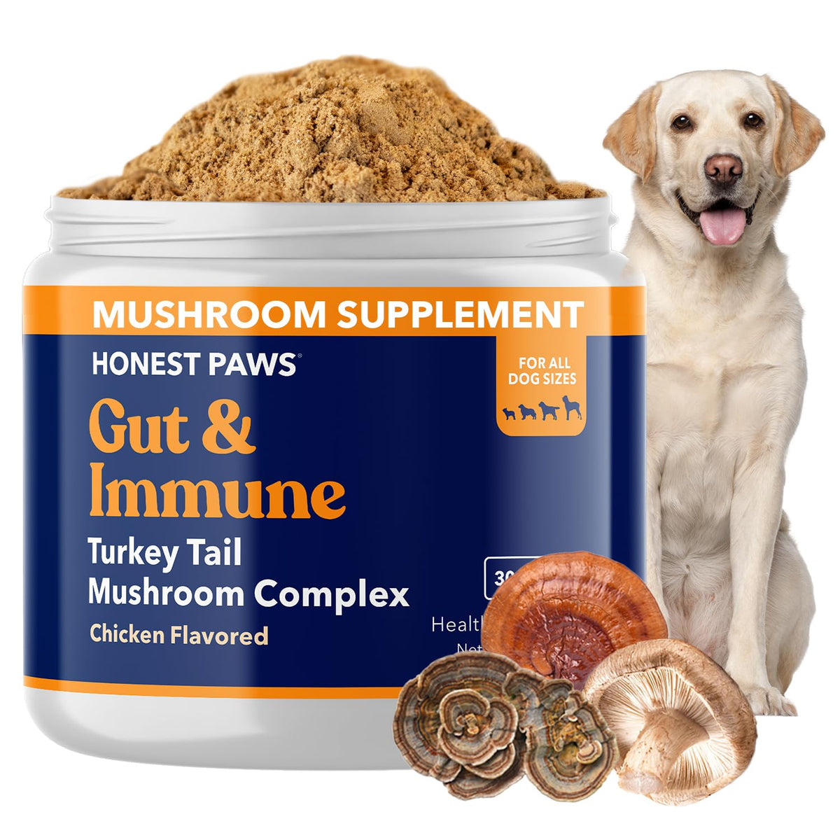 Honest Paws Turkey Tail Mushroom bottle pour shows easy, mess-free serving for dogs.