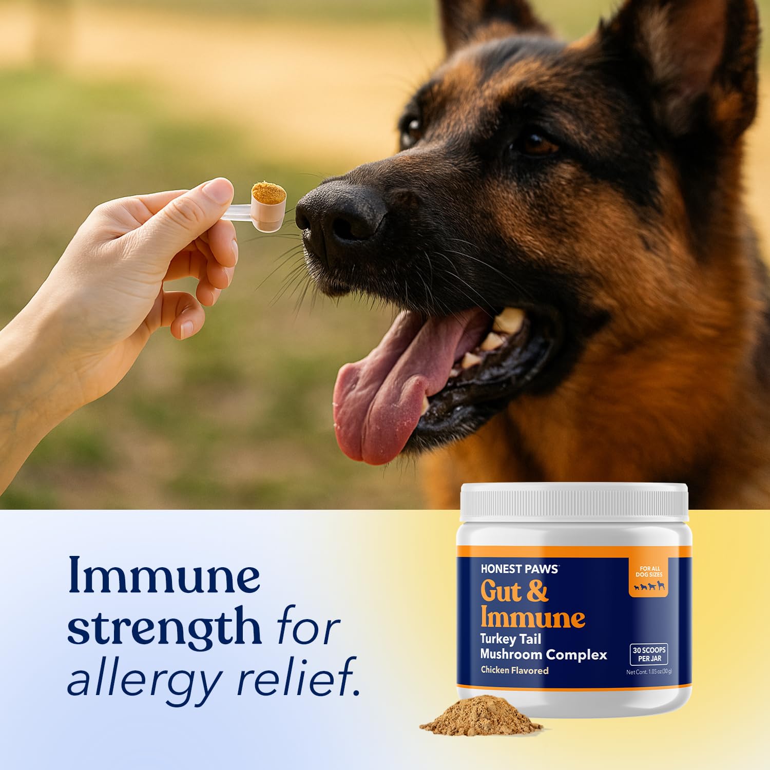 Honest Paws Turkey Tail Mushroom dog-immune-support-boost suggests potential immune balance.