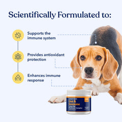 Honest Paws Turkey Tail Mushroom dogs scoop-dispense highlights convenient daily dosing.