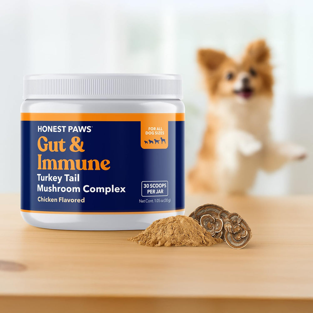 Honest Paws Turkey Tail Mushroom powder-closeup reveals fine texture ideal for mixing.