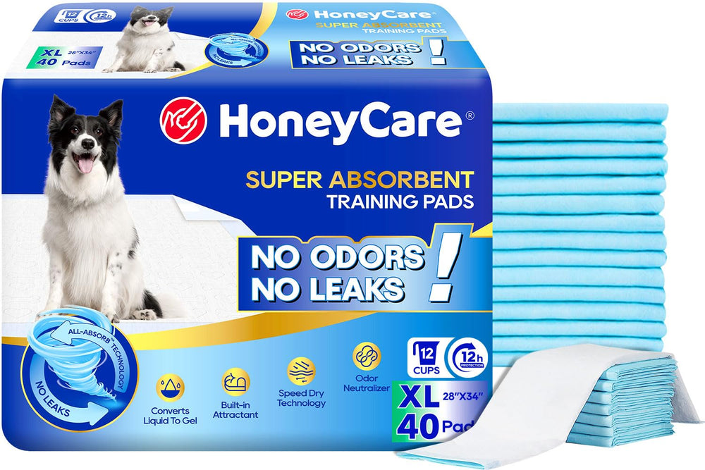 Honey Care All-Absorb training pad top view shows blue surface for fast absorption and odor control.