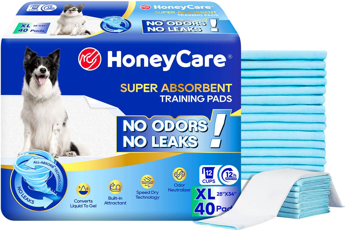 Honey Care All-Absorb training pad top view shows blue surface for fast absorption and odor control.