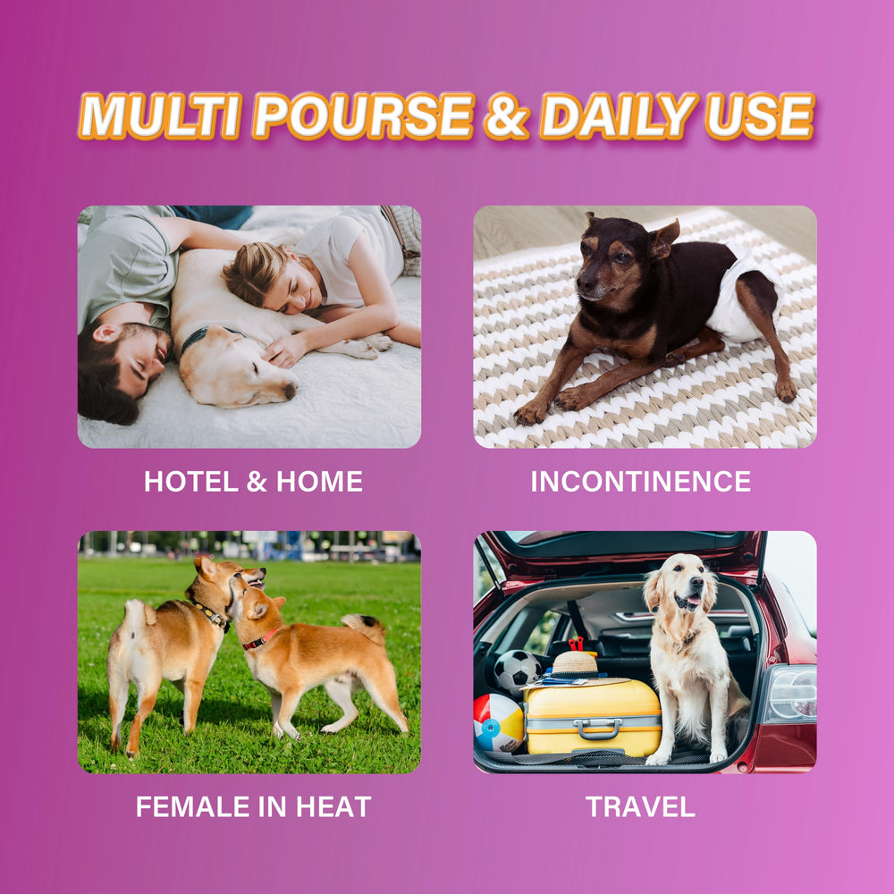 Honey Care All-Absorb diapers snug secure-fit to protect fur and prevent slips