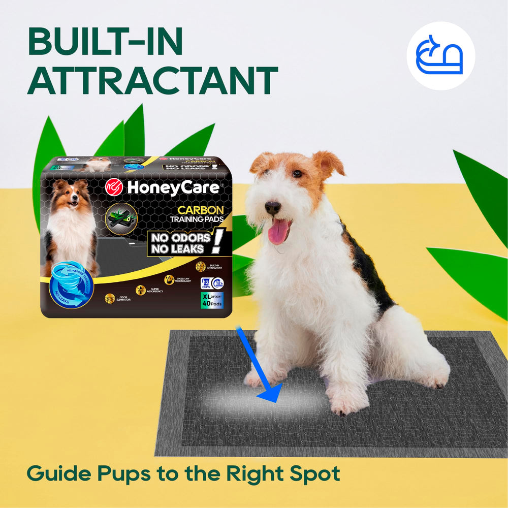 HONEY CARE All-Absorb leak-proof backside protecting floors during leaks