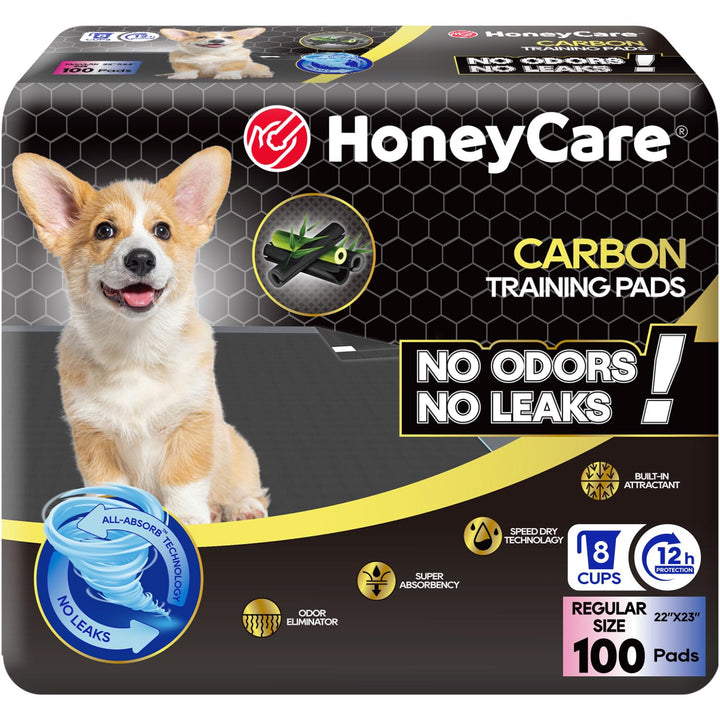 HONEY CARE All-Absorb puppy pad absorbs urine quickly to protect floors.
