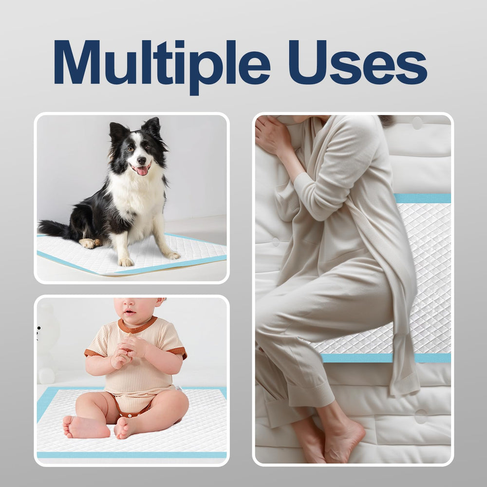Honey Care All-Absorb pad in a puppy-training scenario supports easy cleanup.