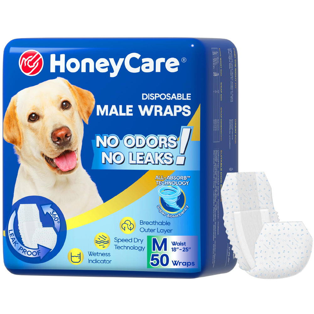 Honey Care All-Absorb wrap close-up shows secure dog fit for active dogs.
