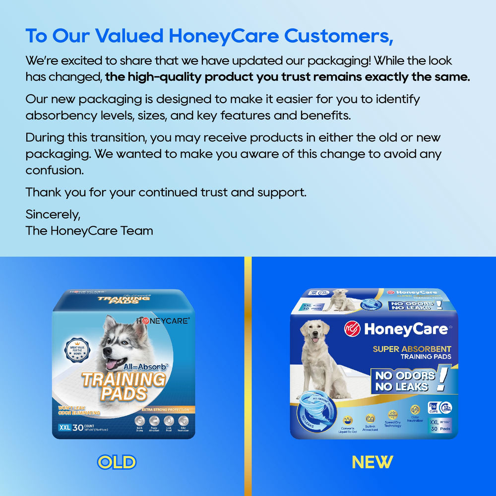 HONEY CARE All-Absorb XXL pad close-up absorb-core illustrating instant gel and high capacity.