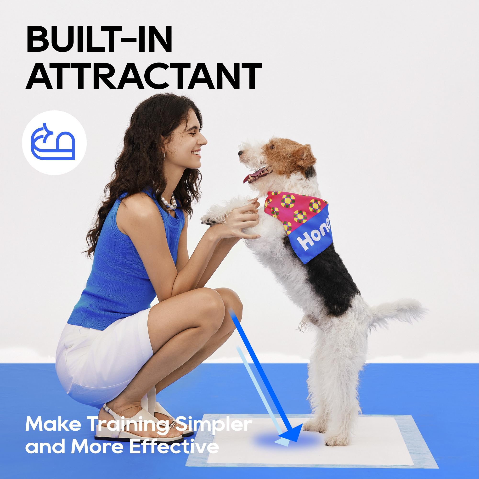 Attractant and odor-neutralizer layer supports targeted use and freshness.