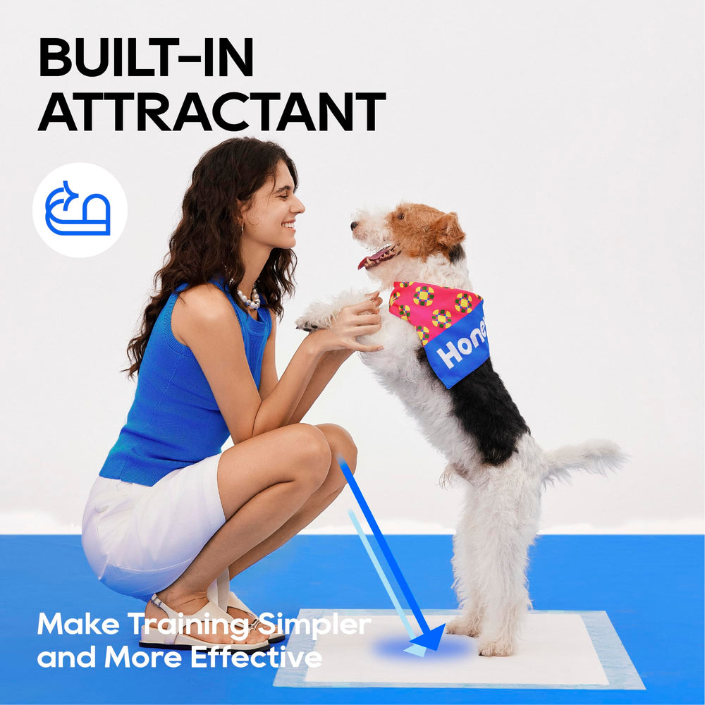 Attractant and odor-neutralizer layer supports targeted use and freshness.