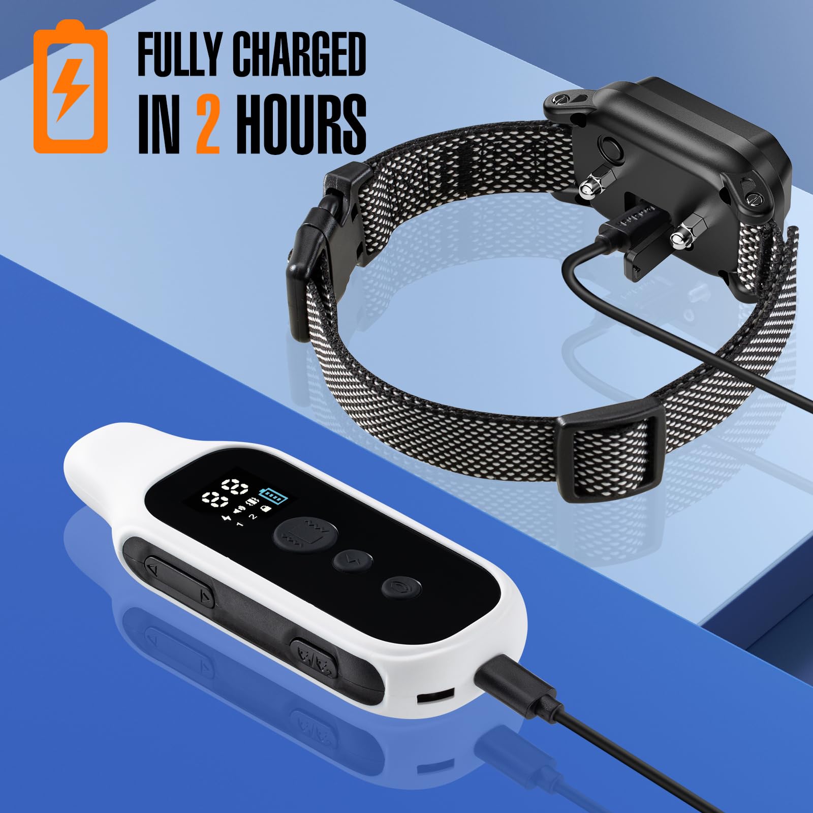Honey One shock collar receiver on a dog highlights reliable training technology.
