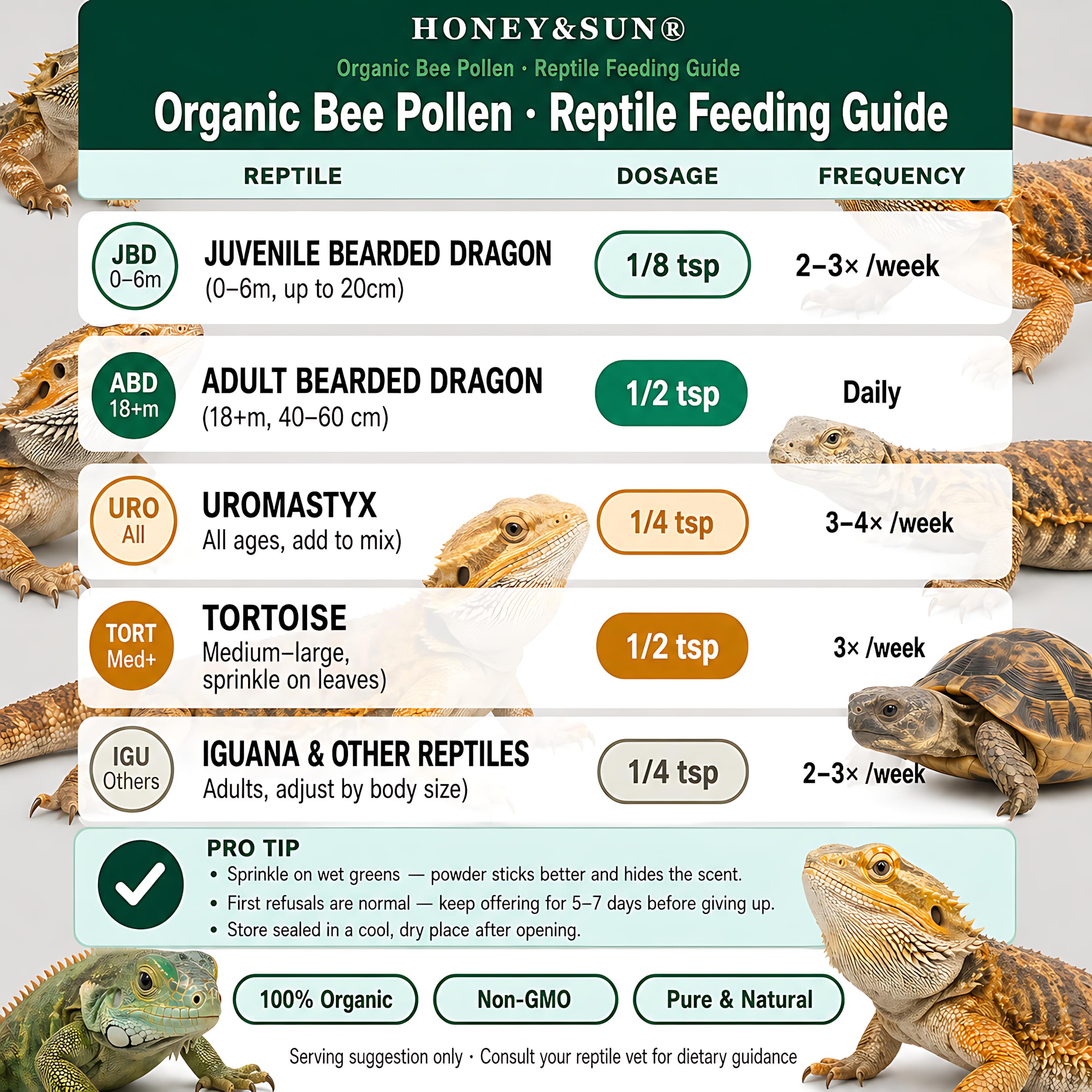 HONEY&SUN premium reptile pollen supports daily feeding variety