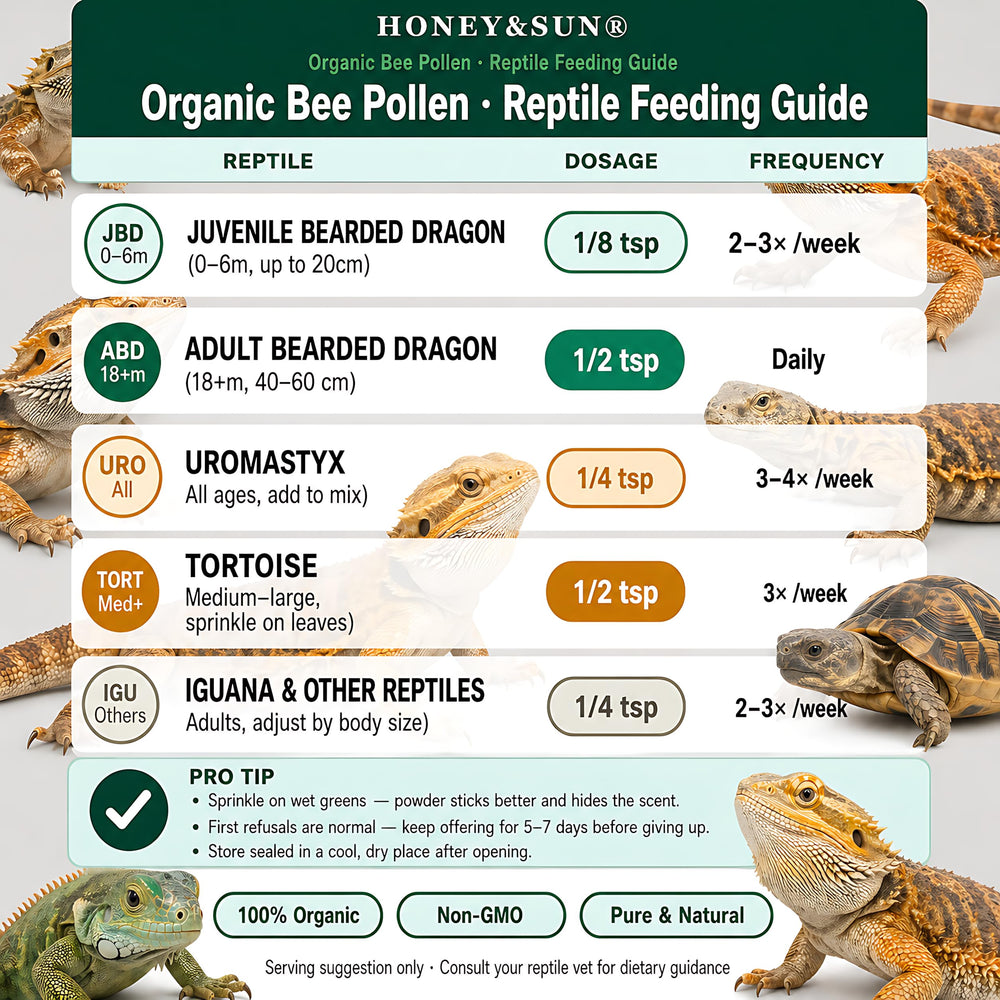 HONEY&SUN premium reptile pollen supports daily feeding variety