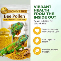 HONEY&SUN vitality color support for vibrant beardie skin