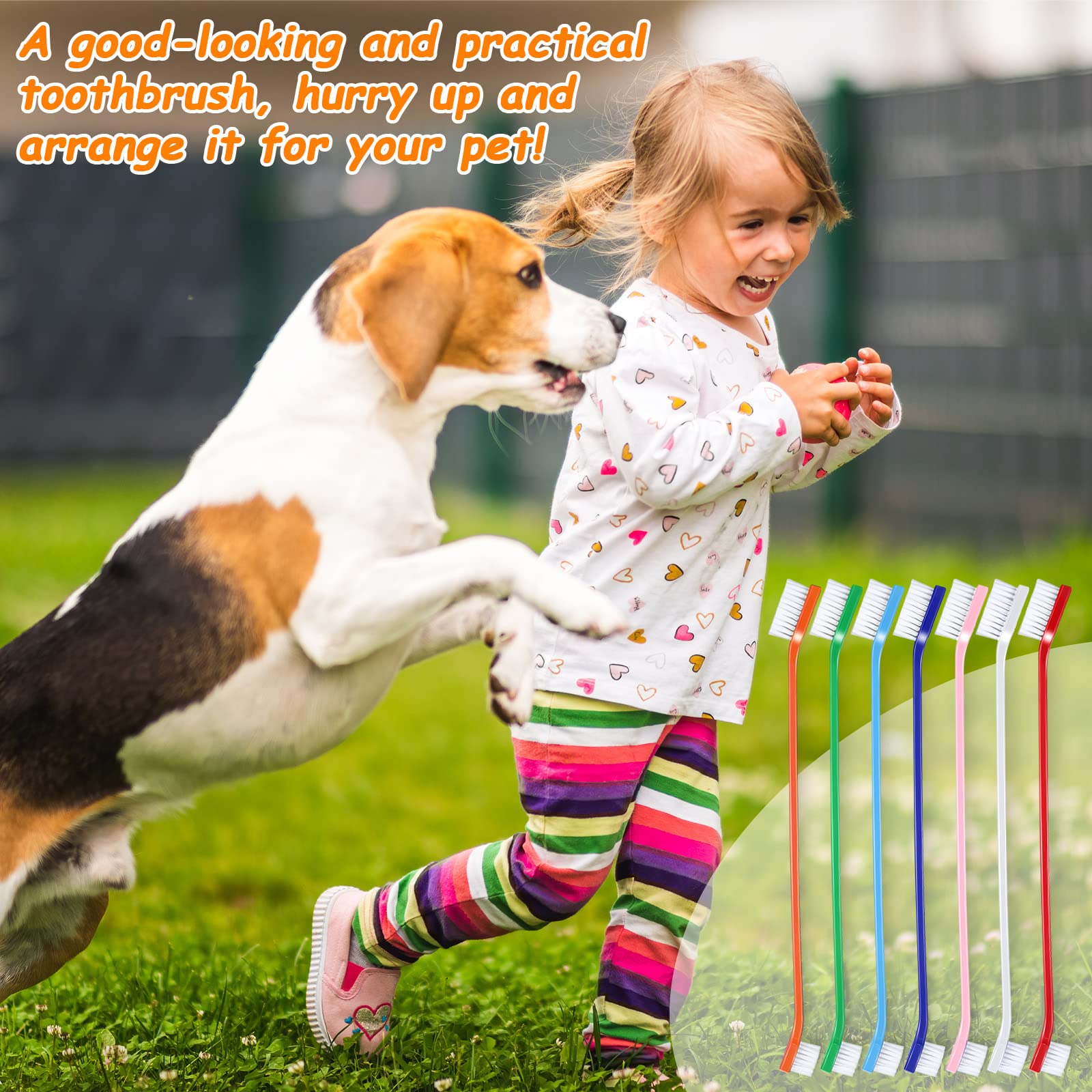 Honeydak green dual-head brush provides versatility for dogs, puppies, and cats.