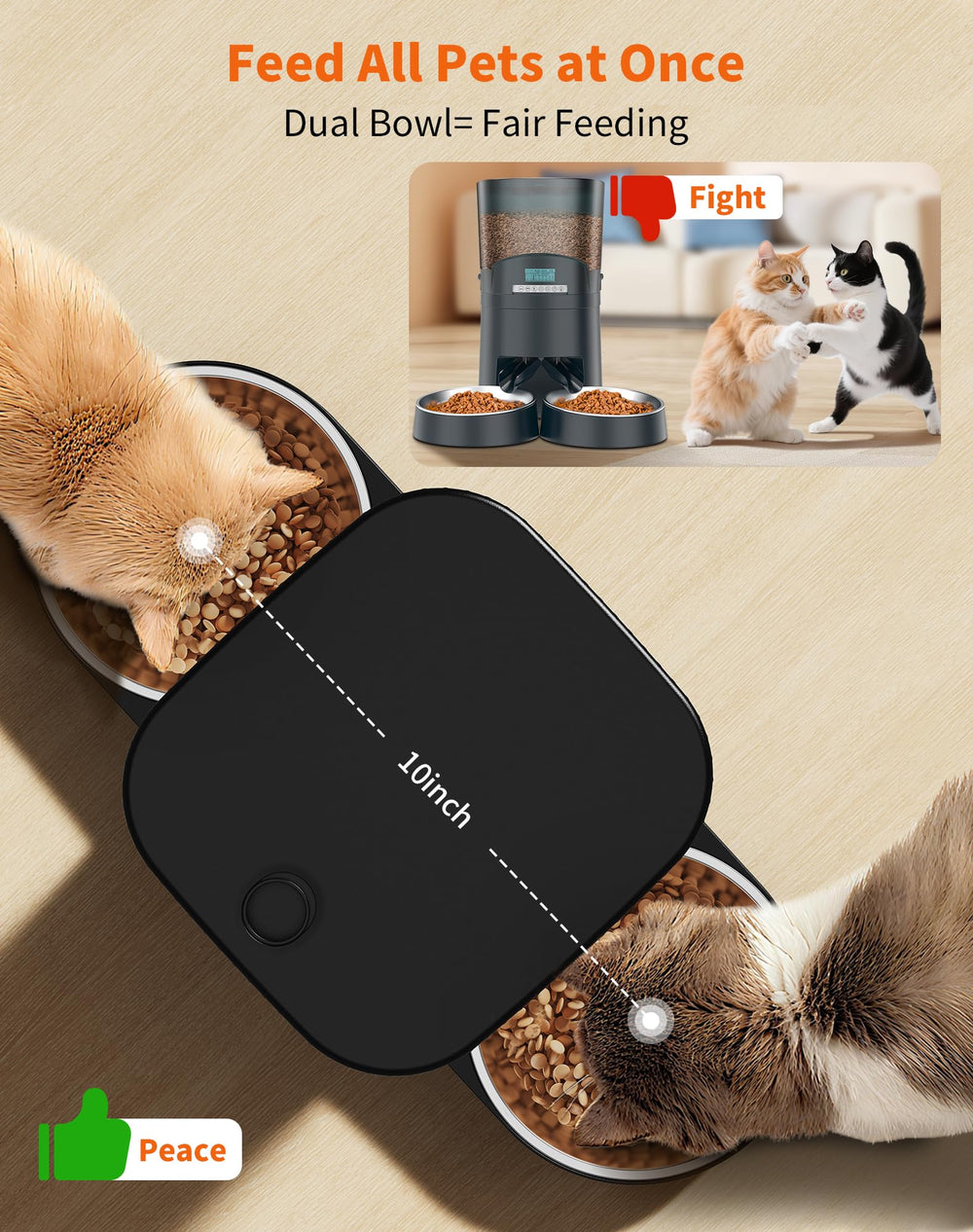HoneyGuardian tip-resistant design keeps bowls steady during mealtimes.