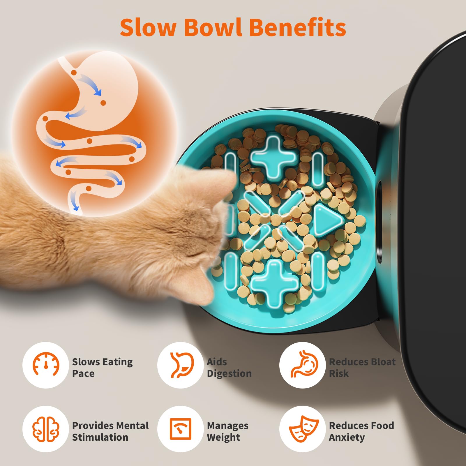 HoneyGuaridan slow bowl close-up highlighting paced eating for healthier meals.