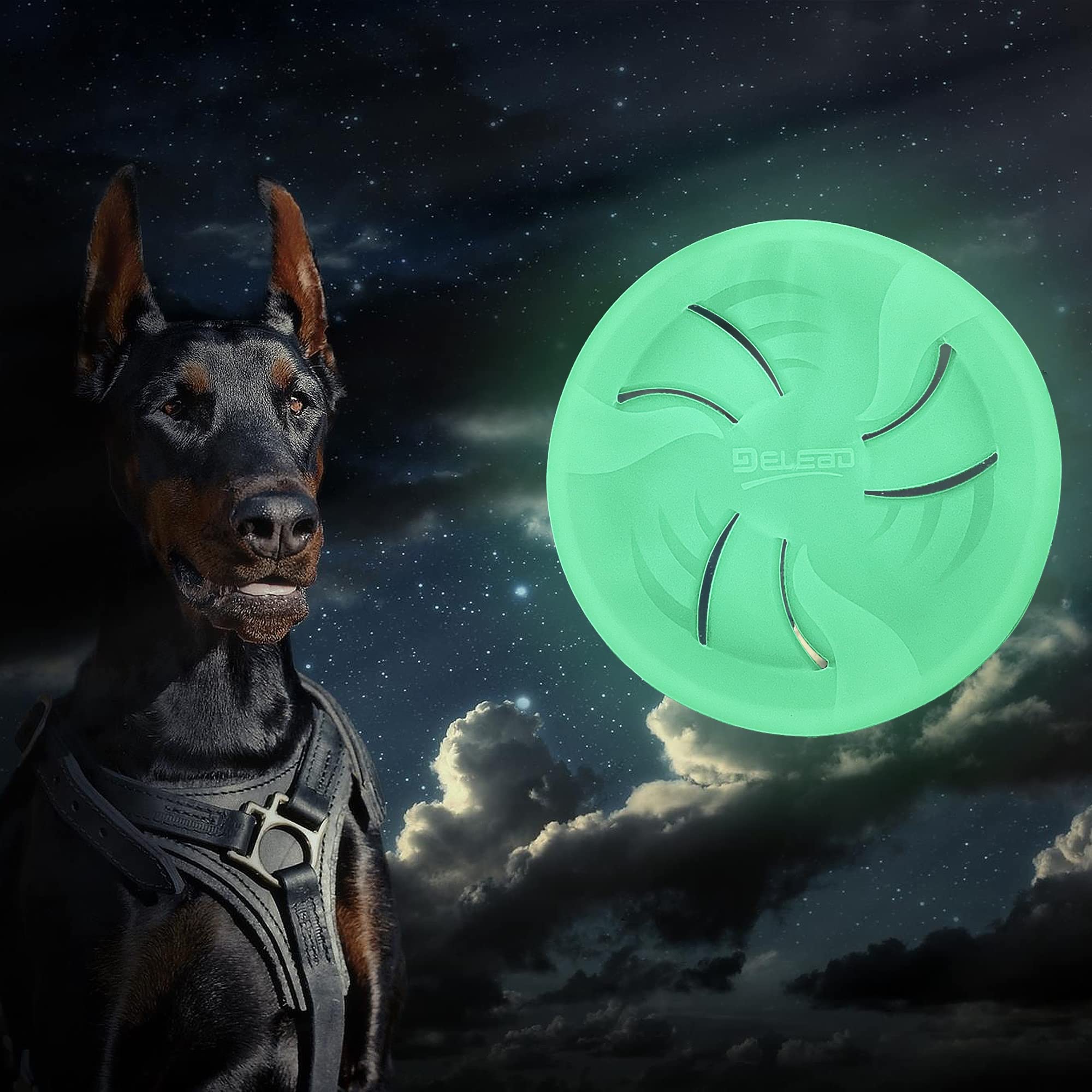 HONGEZEY glow-disc promotes exercise and dog enrichment.