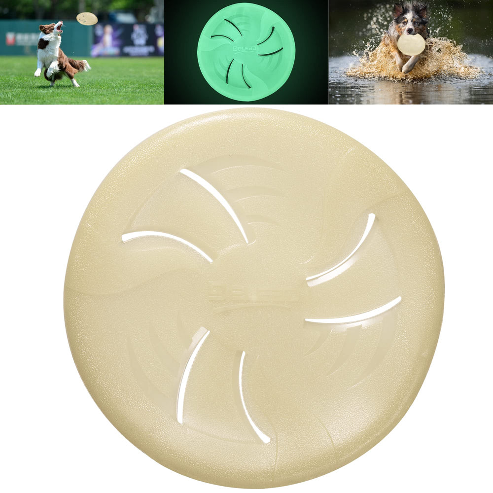 HONGEZEY glow-disc in sunlight enhances interactive fetch outdoors.