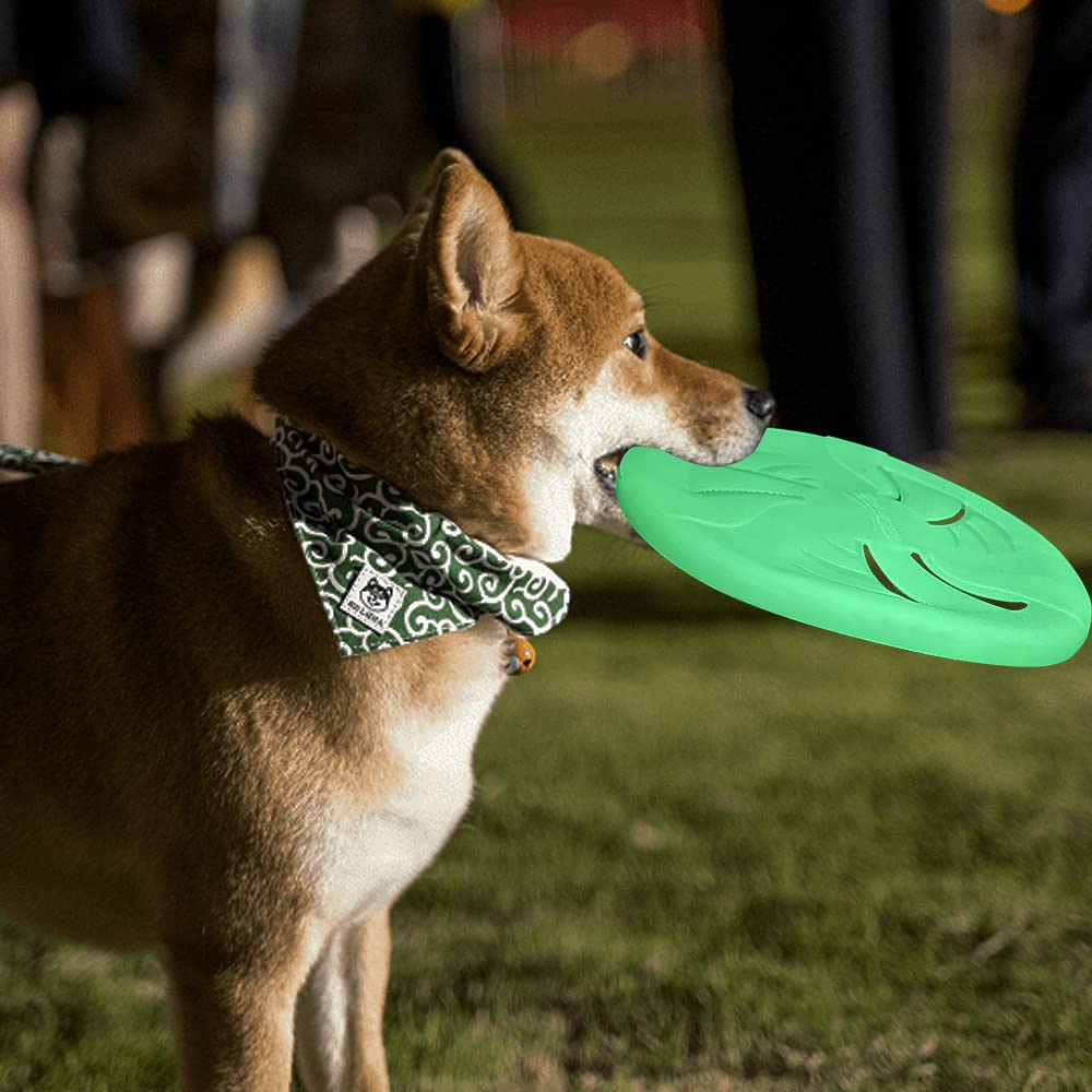 HONGEZEY large nine-inch glow-disc is easy to spot mid-air.