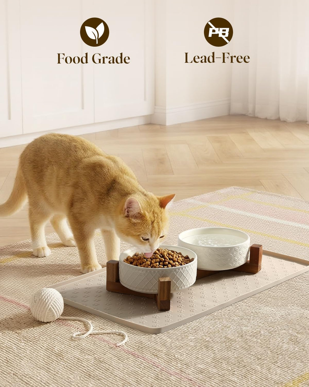 hongqu us 2-cup ceramic bowls ideal for small dogs