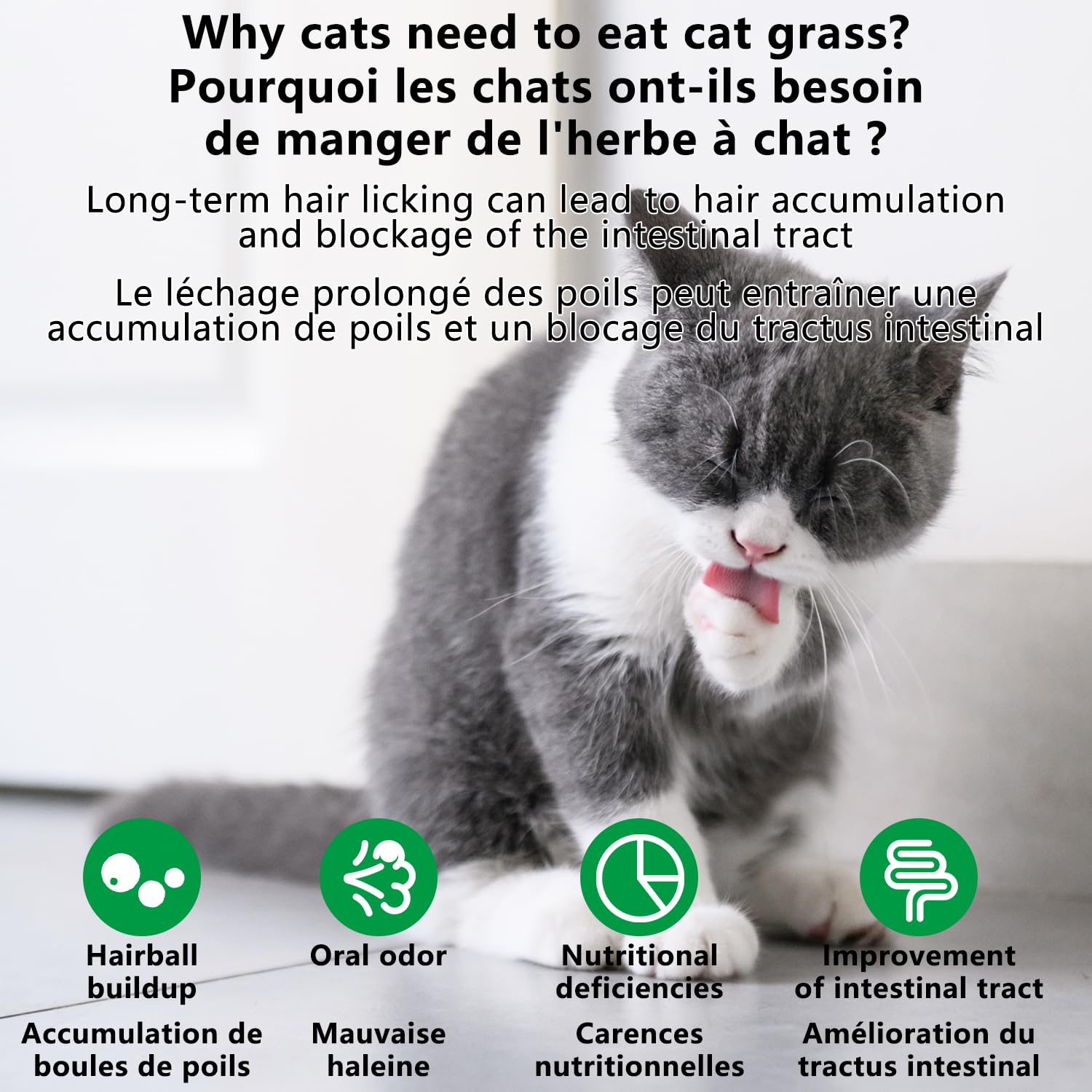 HONGYEE hairball excretion snack shown with fresh cat grass.