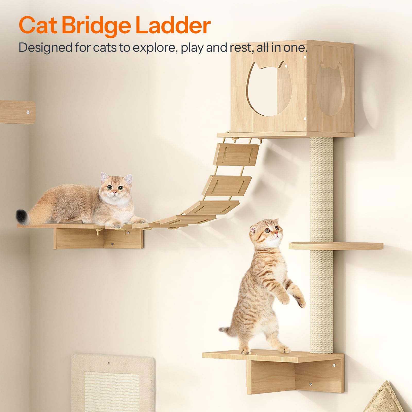 HOOBRO scratcher provides durable surface for scratching and play