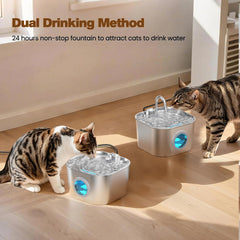 HOOISE continuous 24-hour running water attracts pets for better hydration.